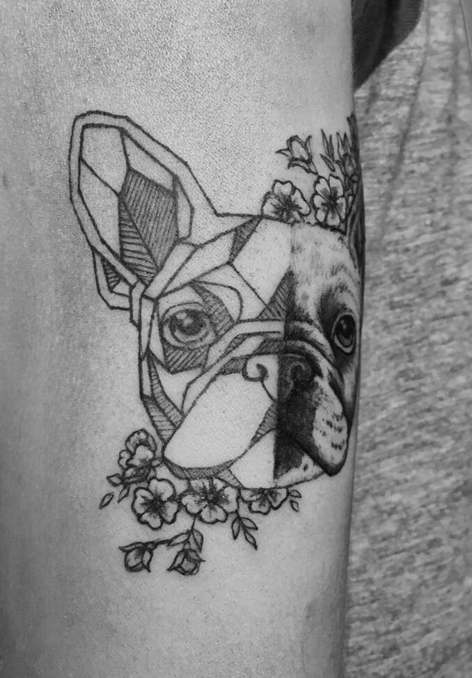Dog Dog