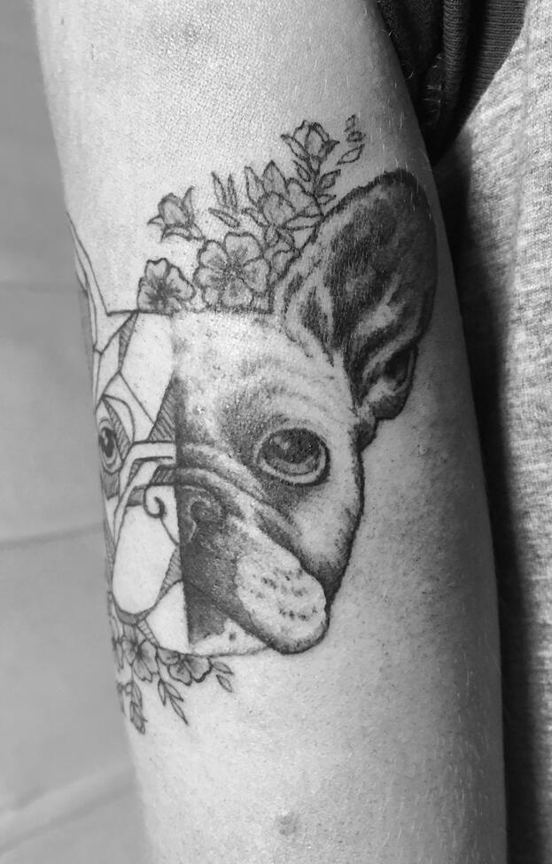 Dog 2 Dog 2