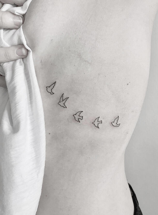 Birds Birds